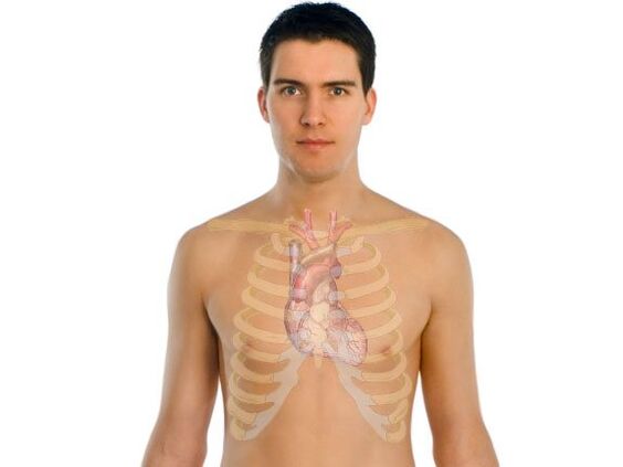 kaip parazitai veikia žmogaus organus