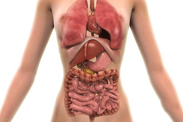 parazitai žmogaus organizme